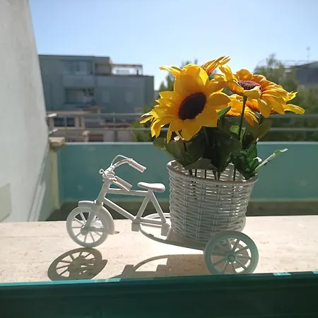 Casa vacanze Serena Baia