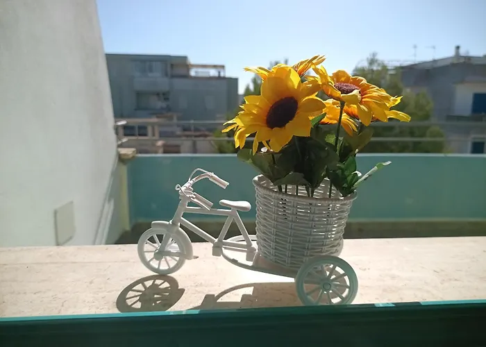 Dom wakacyjny Serena Baia